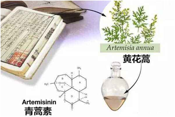 星空注册,星空(中国)：向中医药看齐，与世界共享中医药文化(图1)